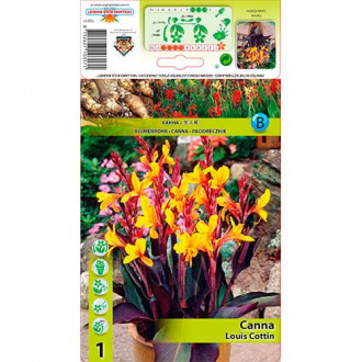 Paciorecznik (Canna) Louis Cottin interface.image 1