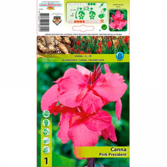 Paciorecznik (Canna) Pink President interface.image 6