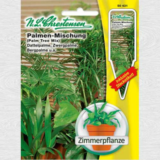 Palmier decorativ, amestec imagine 3