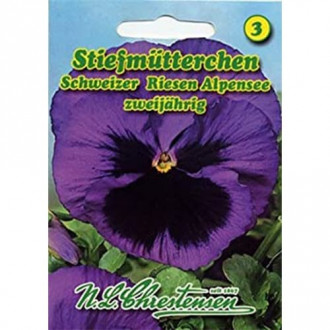 Panseluțe Alpine Like imagine 6