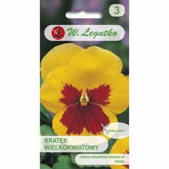 Panseluțe cu flori mari Early Yellow Red Blotch imagine 2