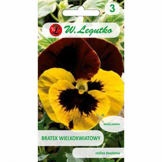 Panseluțe cu flori mari Red Wings imagine 11