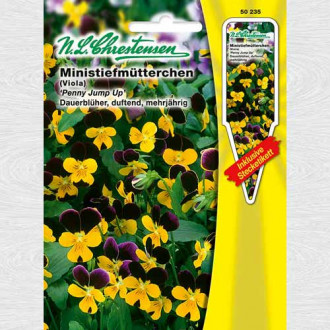 Panseluțe cu flori mici Penny Jump Up imagine 15