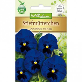 Panseluțe Dark Blue eyed Chrestensen imagine 14