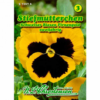 Panseluțe Firnengold Chrestensen imagine 7