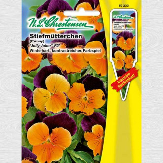 Panseluțe Jolly Joker imagine 18