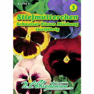 Panseluțe, mix multicolor Chrestensen imagine 4