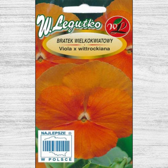 Panseluțe Orange Sun Legutko imagine 8