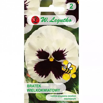 Panseluțe Silverbride Legutko imagine 9