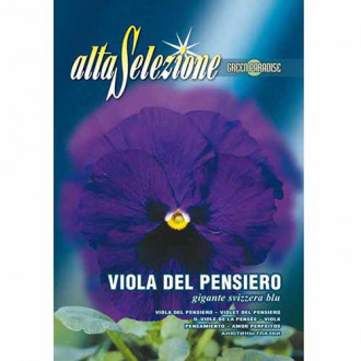 Panseluțe Swiss Giant albastre imagine 8