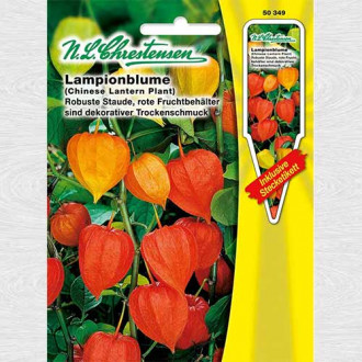 Păpălău imagine 1