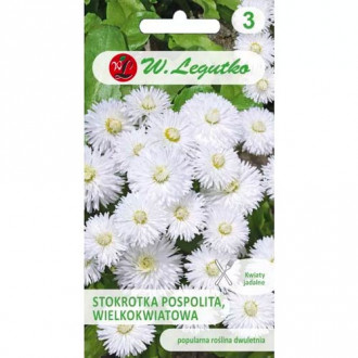 Паричка Ave бяла Legutko изображение 5