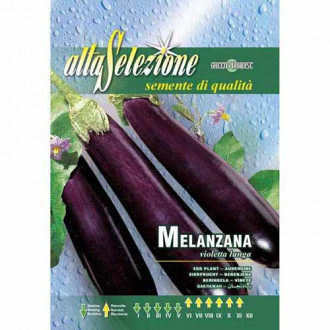 Патладжан Violetta Lunga изображение 6