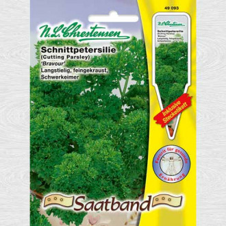 Pătrunjel de frunze Bravout imagine 9