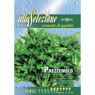 Pătrunjel de frunze Comune 2 imagine 3