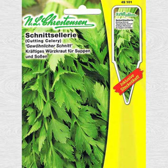 Pătrunjel de frunze Gewone Snij imagine 18