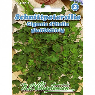 Pătrunjel de frunze Gigante d'Italia imagine 4