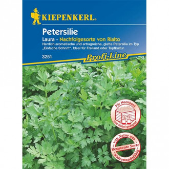 Pătrunjel de frunze Laura imagine 17