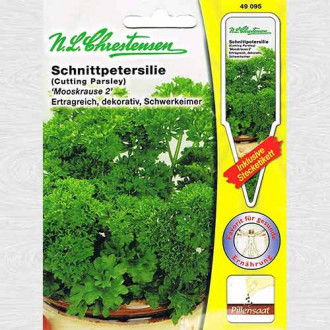 Pătrunjel de frunze Mooskrause 2 imagine 10