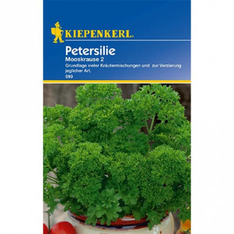 Pătrunjel de frunze Moskrul 2 imagine 5