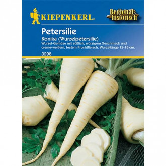 Pătrunjel de rădăcină Konika