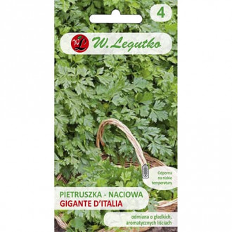 Pătrunjel Gigante d'Italia imagine 8