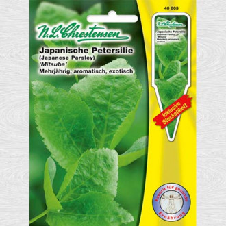 Pătrunjel japonez Mitsuba imagine 9