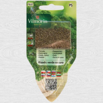 Patrunjel Rizado Verde Oscuro imagine 8