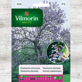 Paulownia omszona interface.image 1