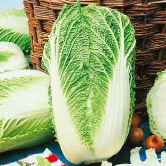 Пекинско зеле Granaat, смес изображение 1