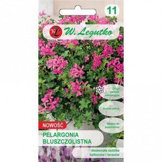 Pelargonia bluszczolistna Fuchsia F1 interface.image 13
