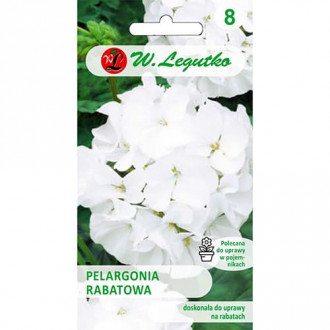 Pelargonia rabatowa Gama F1 biała interface.image 3