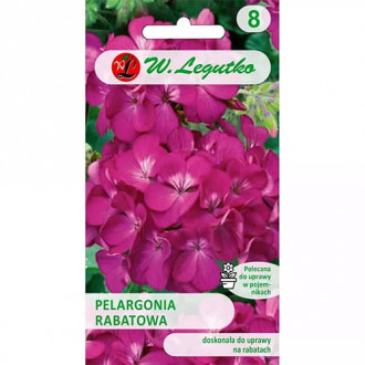 Pelargonia (Geranium) rabatowa Gama fioletowa F1 interface.image 8