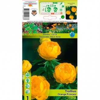 Pełnik Orange Princess interface.image 1