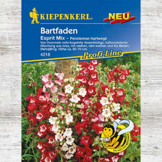 Penstemon hartwegii Esprit interface.image 3