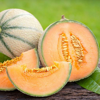 Pepene Malaga F1 imagine 16