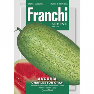 Pepene verde Charleston Gray imagine 17