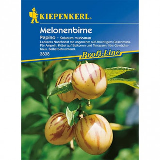 Pepino (Psianka melonowa) interface.image 1