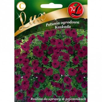 Petunia Kaskada purpurowa interface.image 7