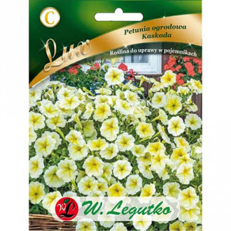 Petunia Kaskada zolta interface.image 4