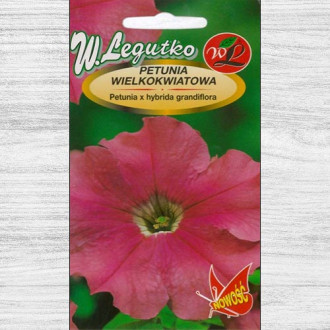 Petunia ogrodowa wielkokwiatowa różowa interface.image 4