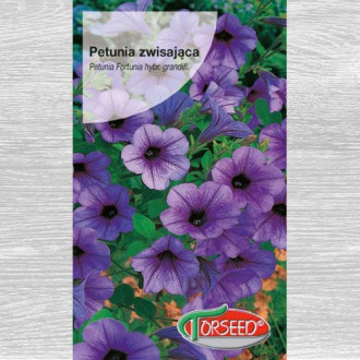 Petunia zwisająca Fortunia interface.image 7