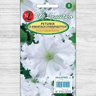 Petunie curgătoare albă imagine 7