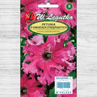 Petunie curgătoare roz imagine 5