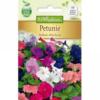 Petunie pentru balcon, mix multicolor imagine 1