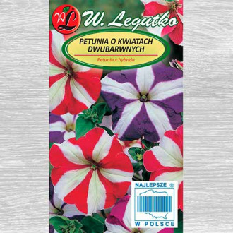 Petunie Star F2, mix multicolor imagine 8