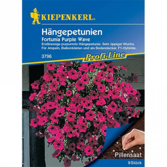Петуния Fortunia Purple Wave F1 Kiepenkerl изображение 3