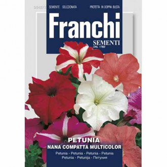 Петуния компактна ниска, смес от цветове изображение 16