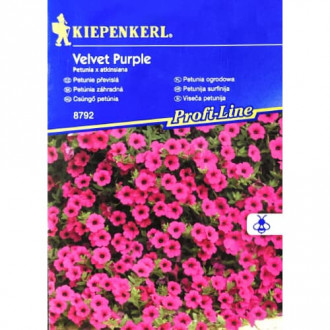 Петуния Velvet Purple F1 Kiepenkerl изображение 8