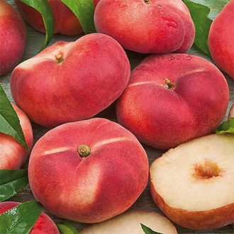 Piersic Saturn imagine 8